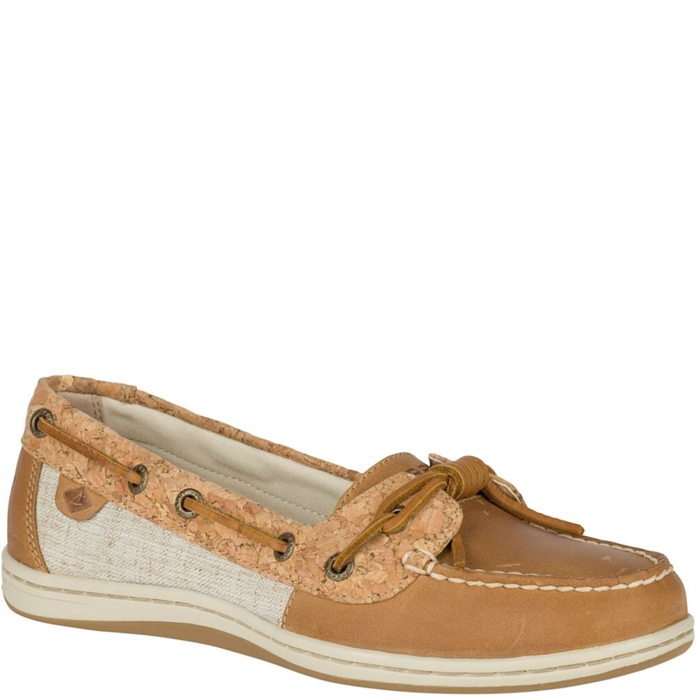 Angelfish topsider
